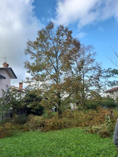 DELO OPRAVIMO STROKOVNO